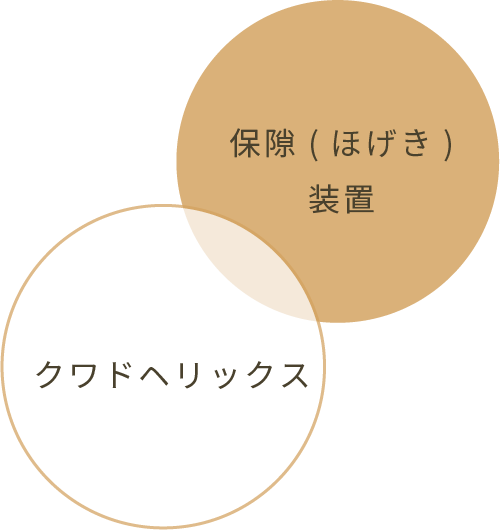 正しい食生活と歯磨き習慣