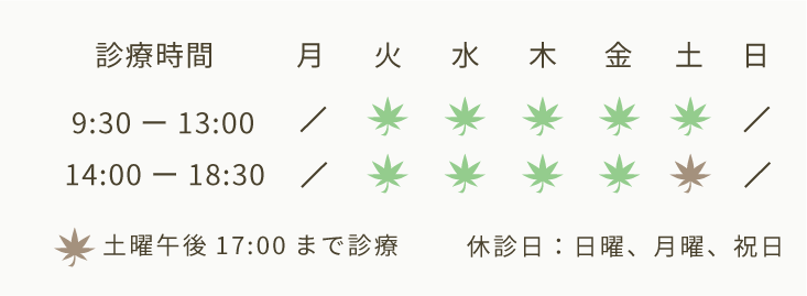 診療時間、火水木金9:30から13:00、14:30から18:30、土曜9:30から13:00、14:30から17:00、日曜月曜祝日休診