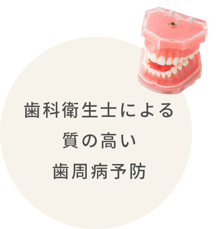 セメントの材質にもこだわった詰め物・被せ物